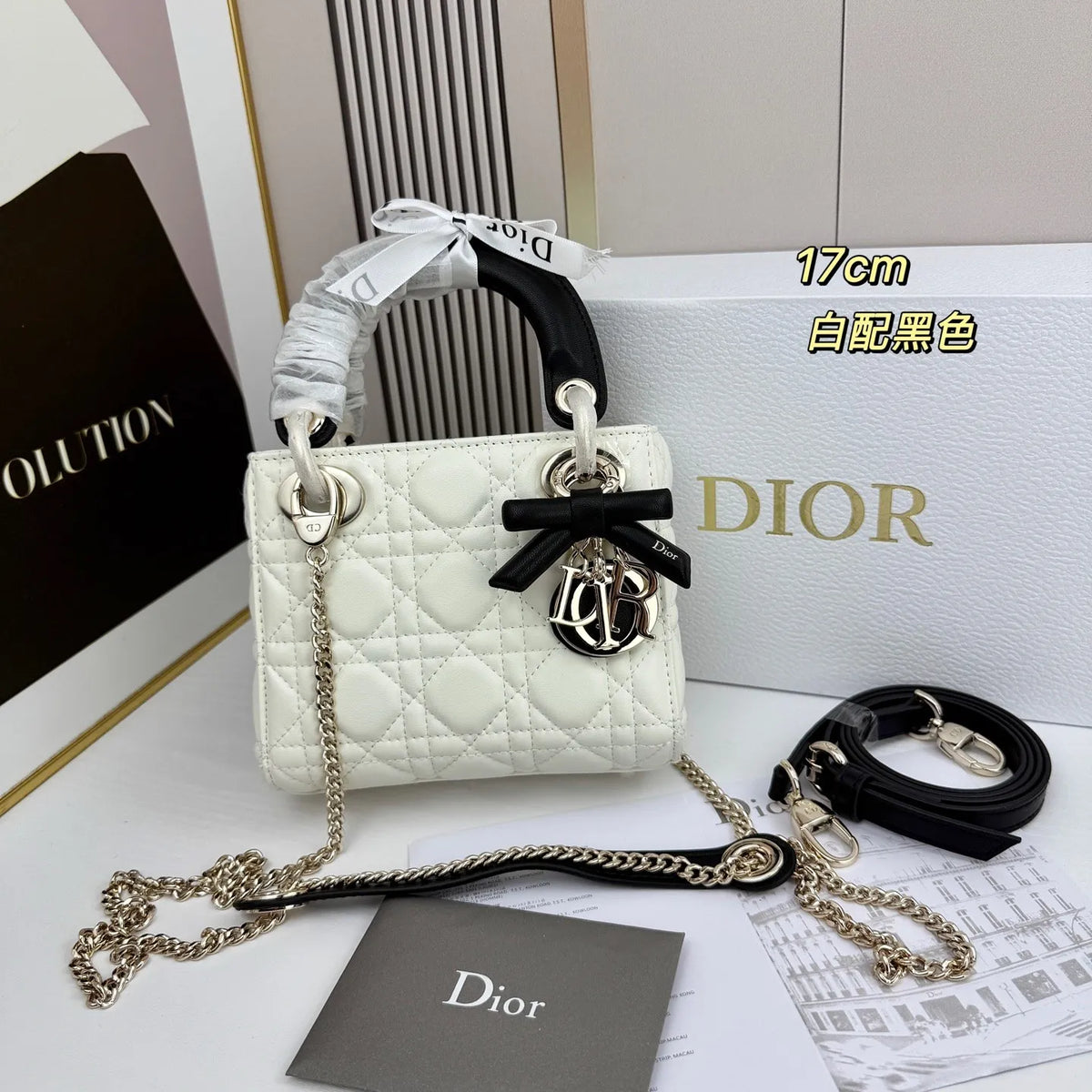 B1R66D1 Popular leather bag