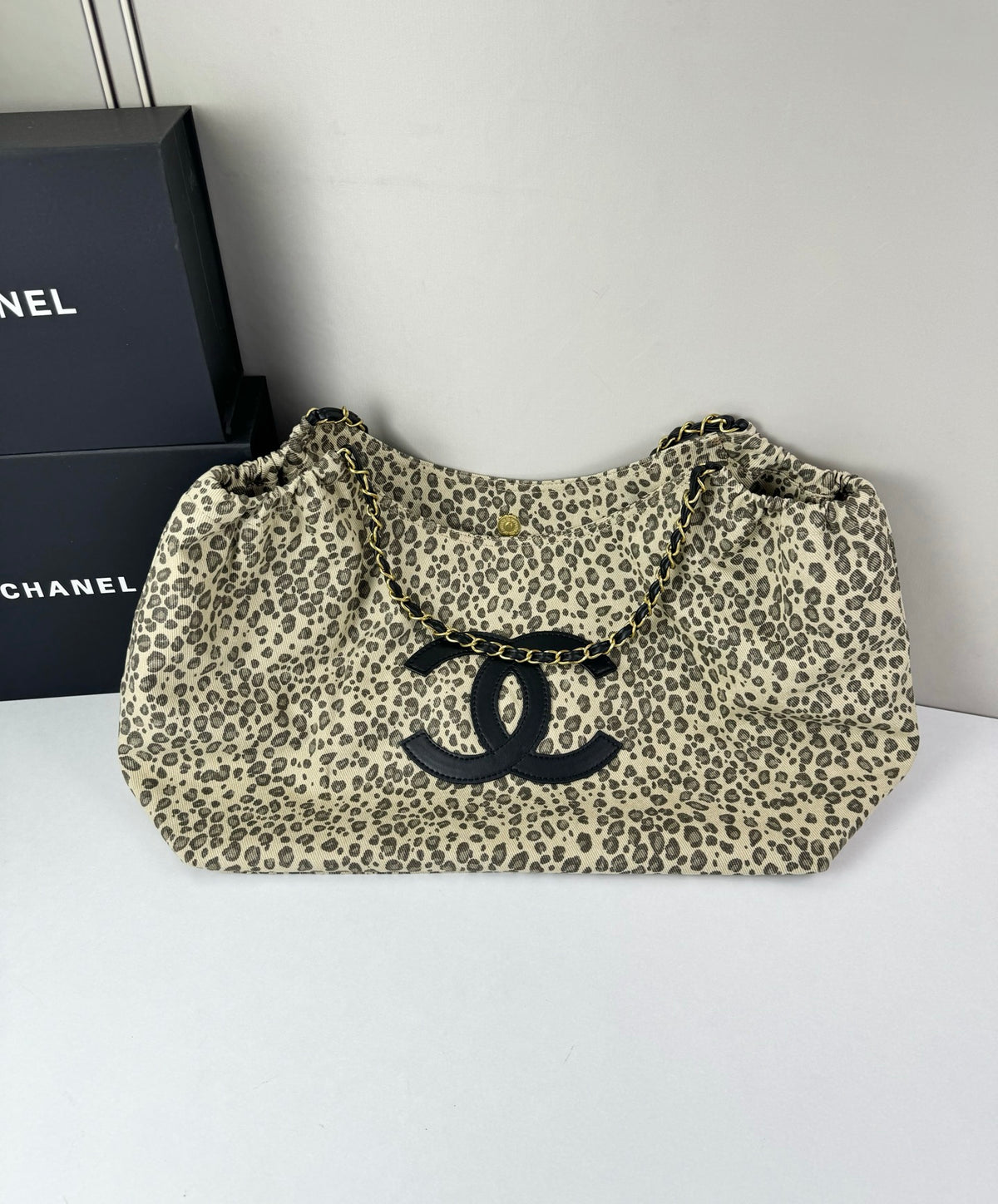 B1N96C27 Fashion bag