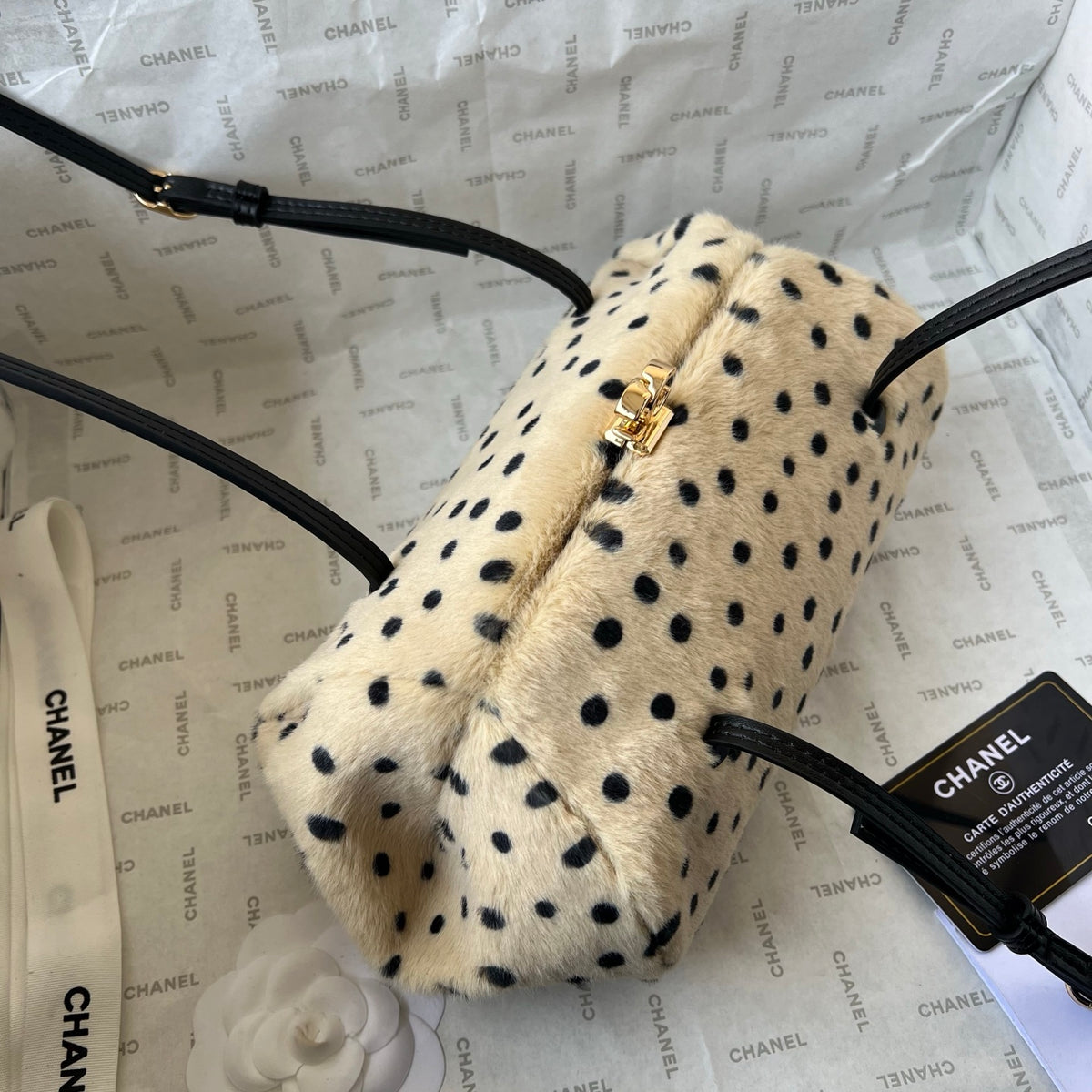 B1N96C16 Popular bags