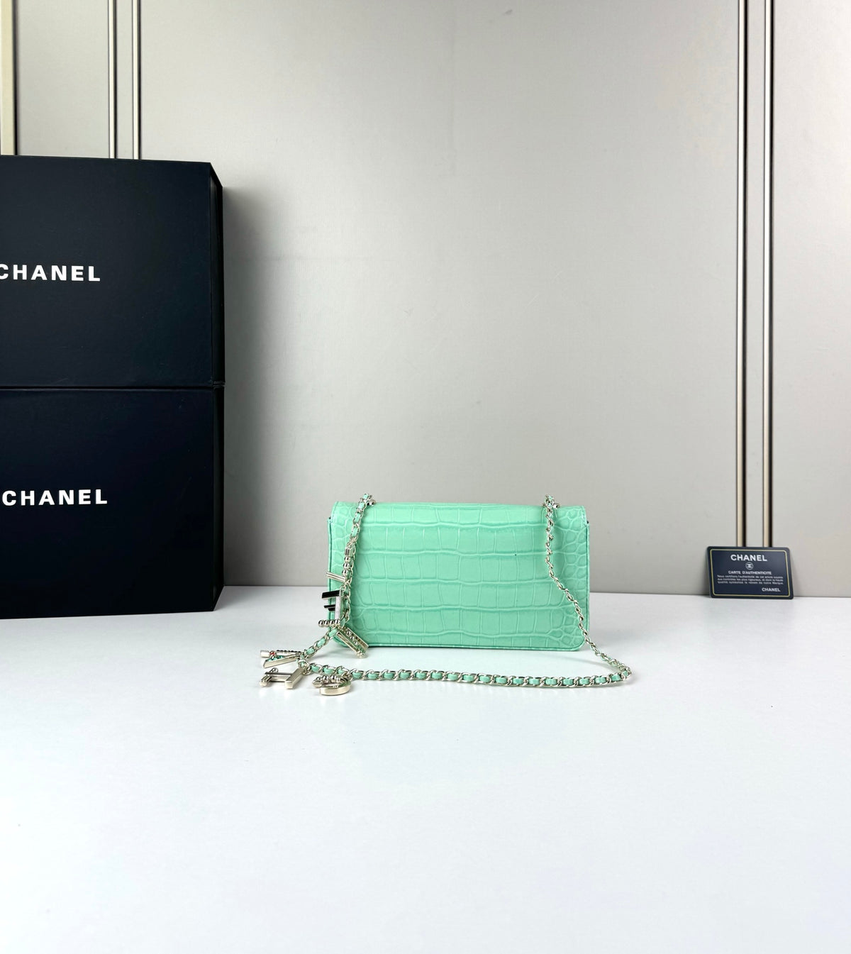 B1N96C1 Fashion leather bag