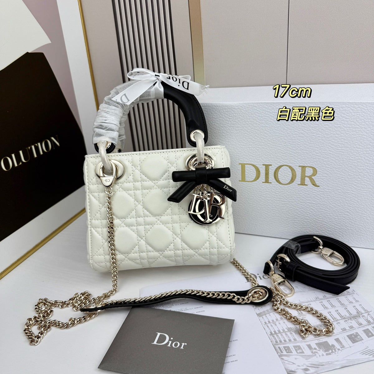 B1R66D1 Fashion leather bag
