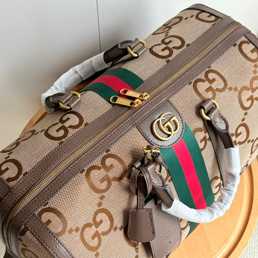 B1N66B11 Fashion Luggage bags