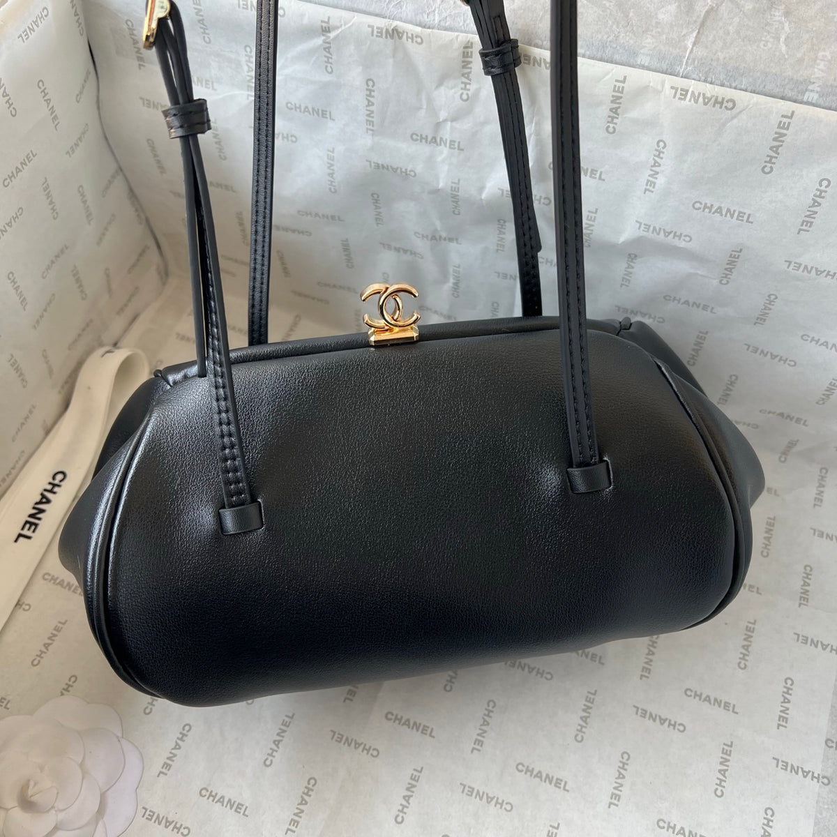 B1N96C16 Fashion bags