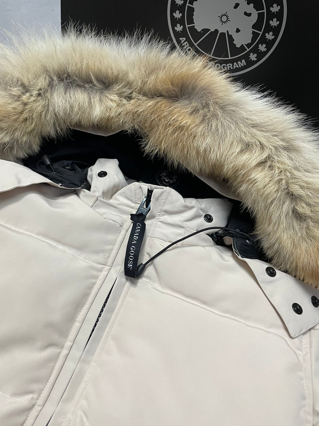 U3R106A2 Fashion down jacket