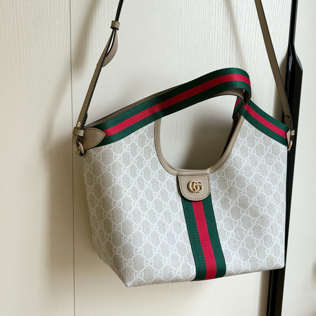 B1X76B12 Fashion canvas bag