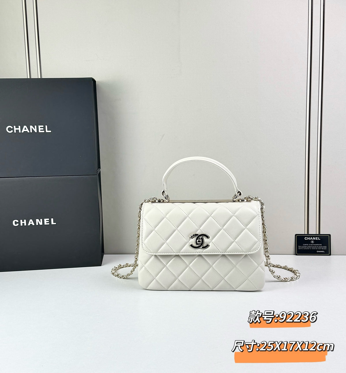 B1X76C6 Popular leather bag