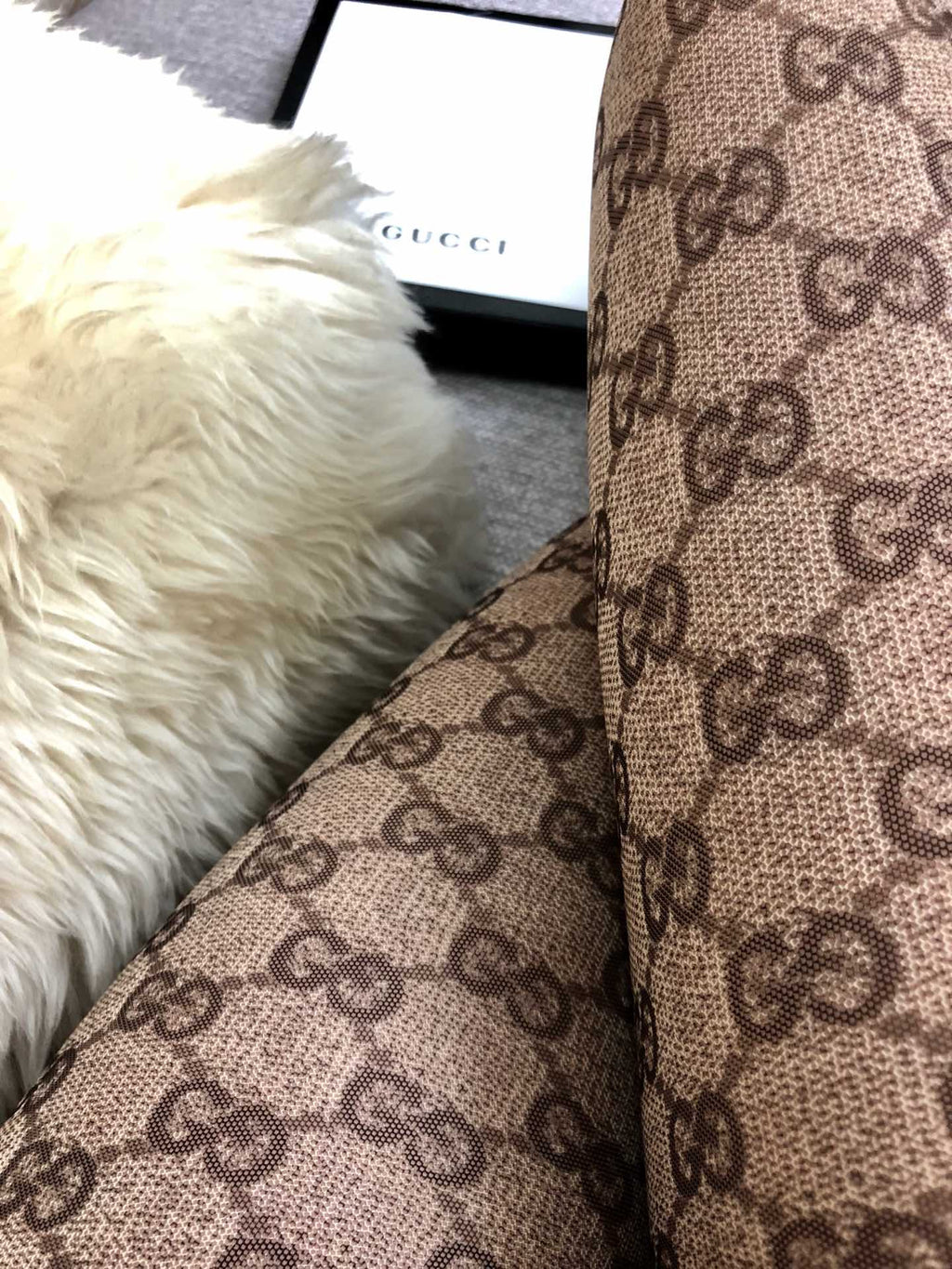 S2R86B2 Fashion pantyhose tights