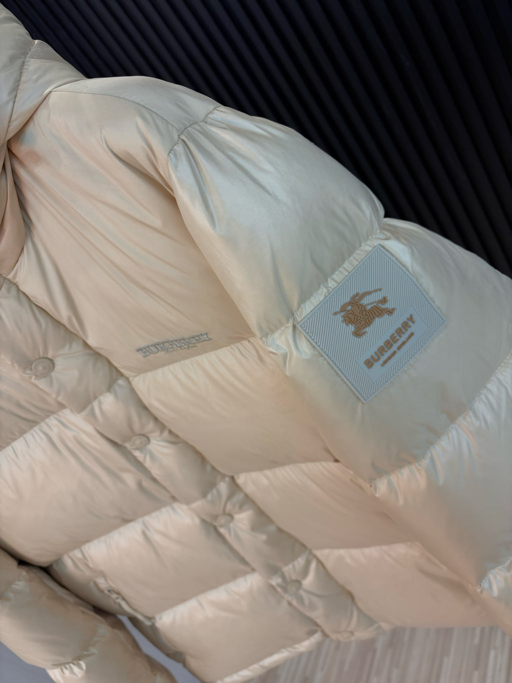 U3R106R18 Fashion down jacket