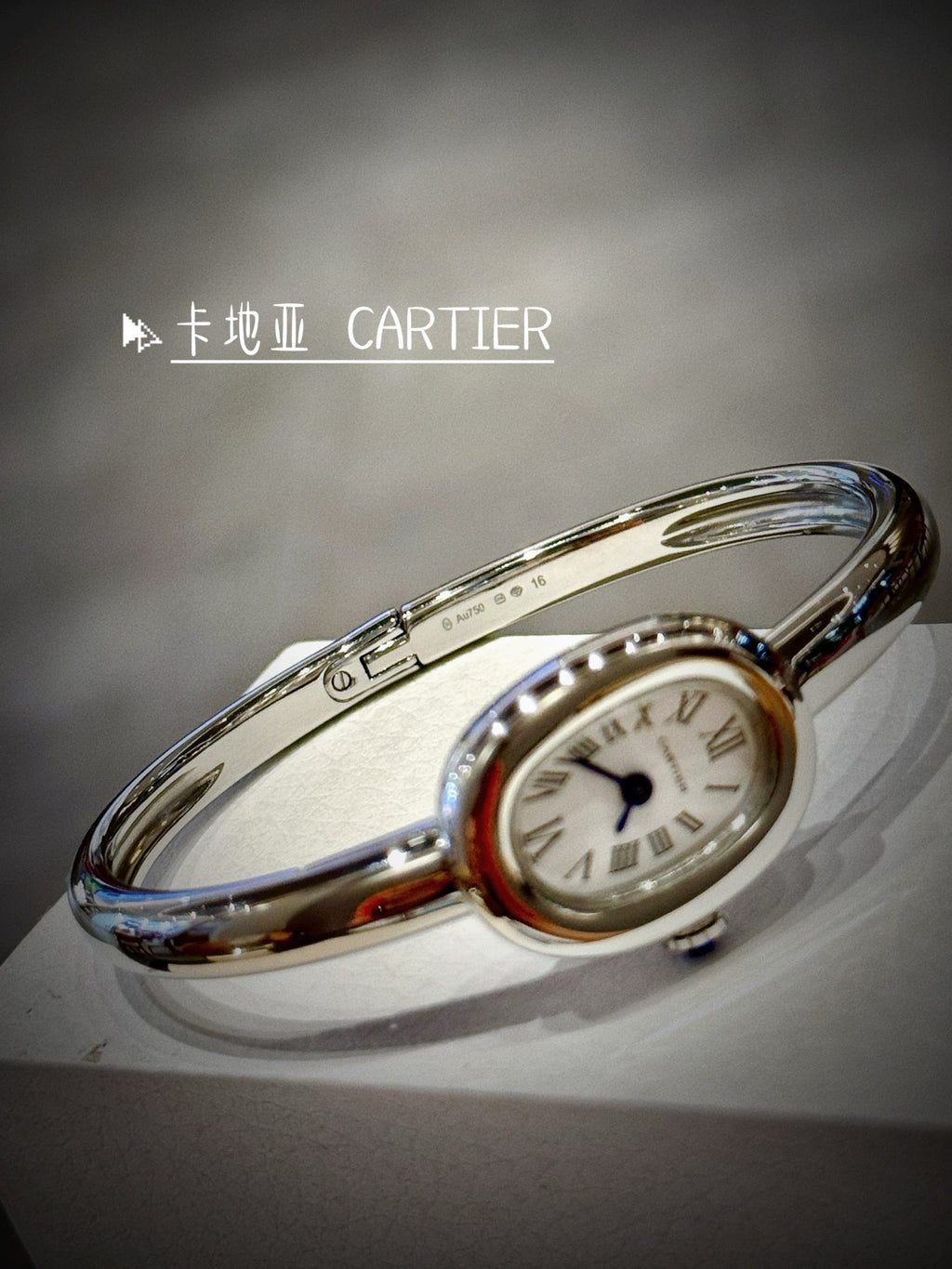 136RK75L Popular Watches