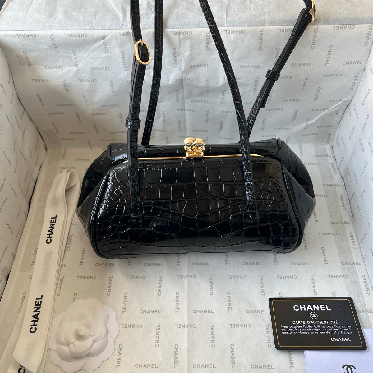 B1N96C16 Fashion bags