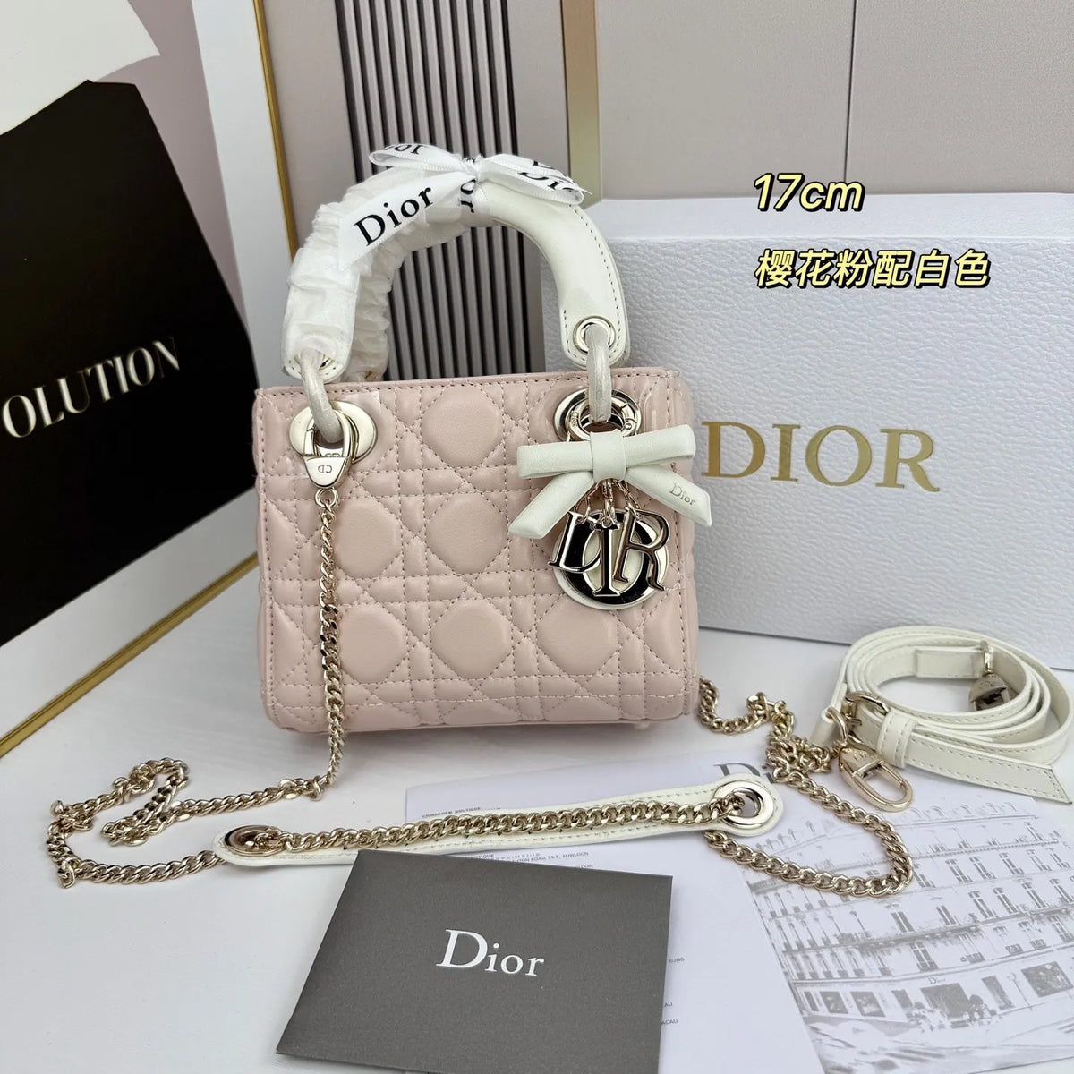 B1R66D1 Fashion leather bag