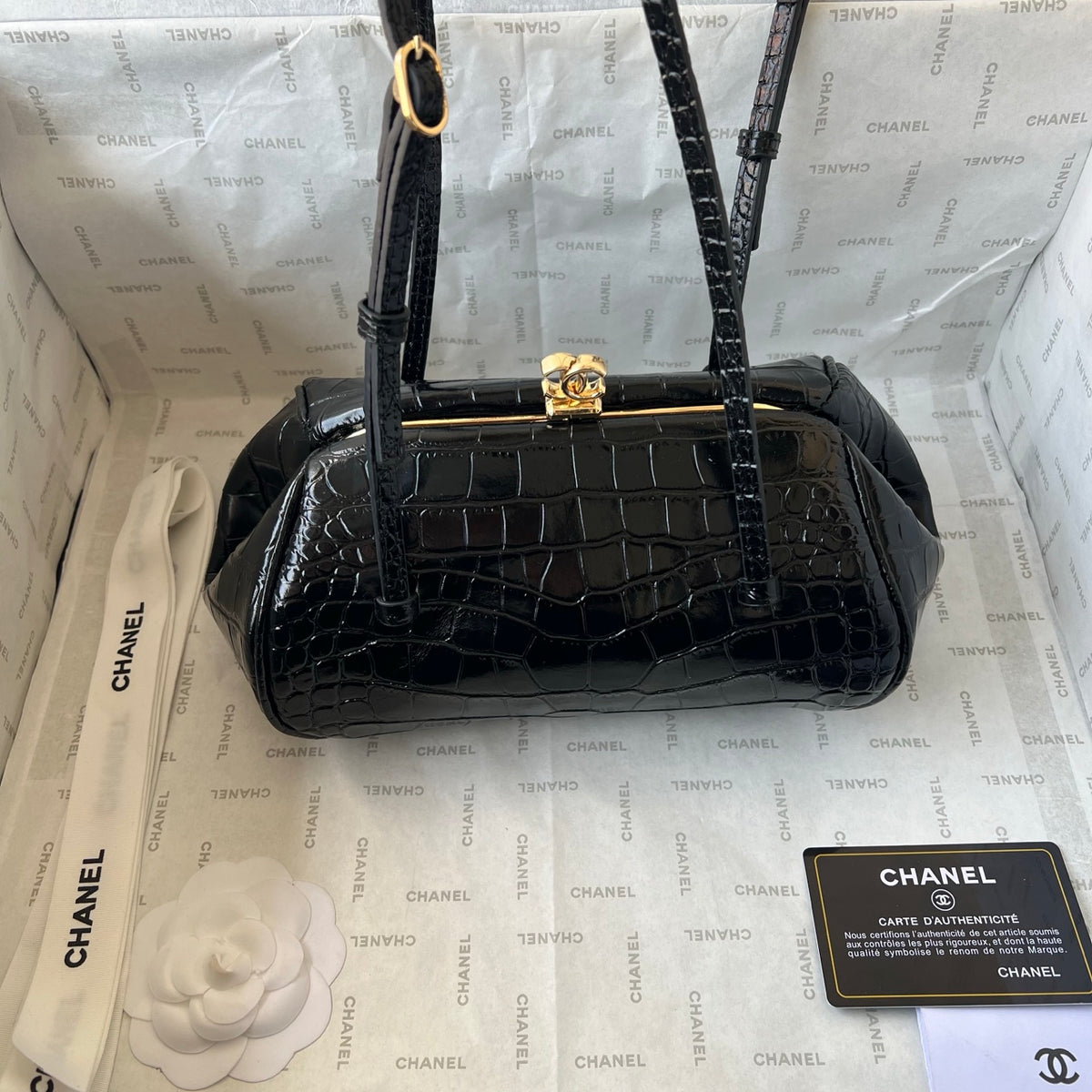 B1N96C16 Fashion bags