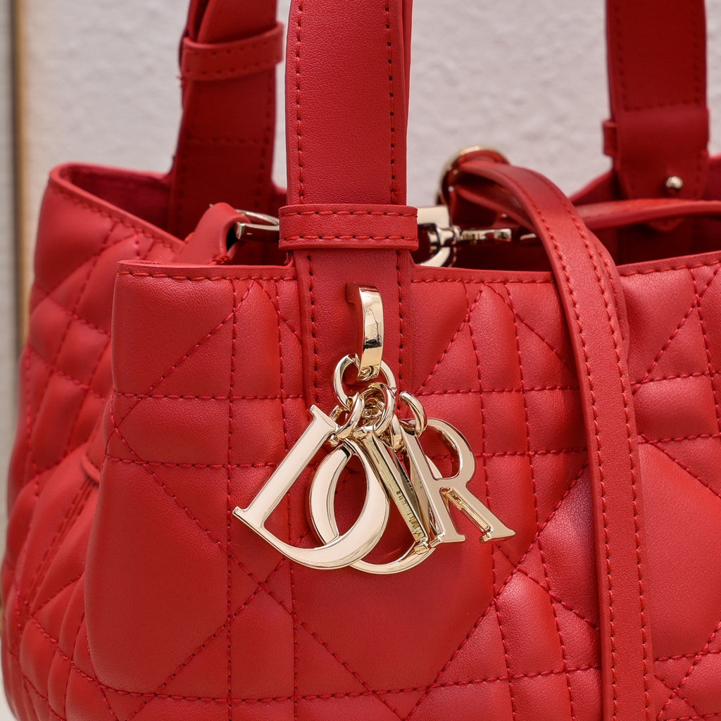B1N66D2 Fashion leather bag