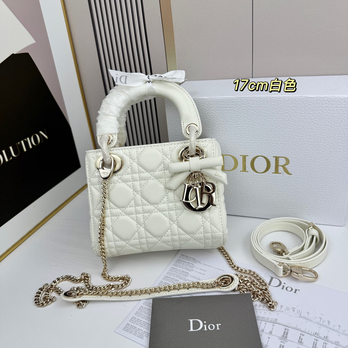 B1R66D3 Fashion leather bag