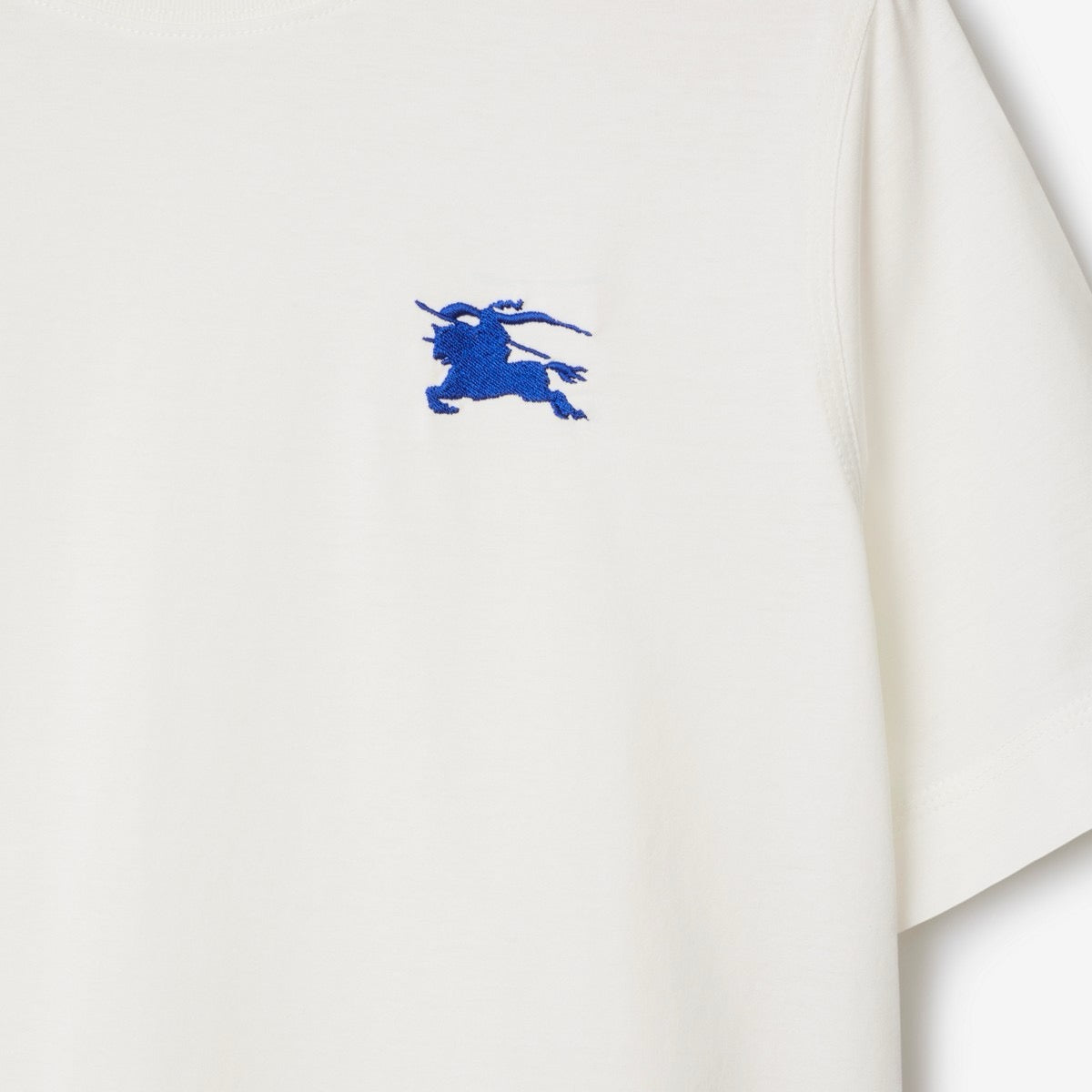 U1R86R13 Popular T-shirts